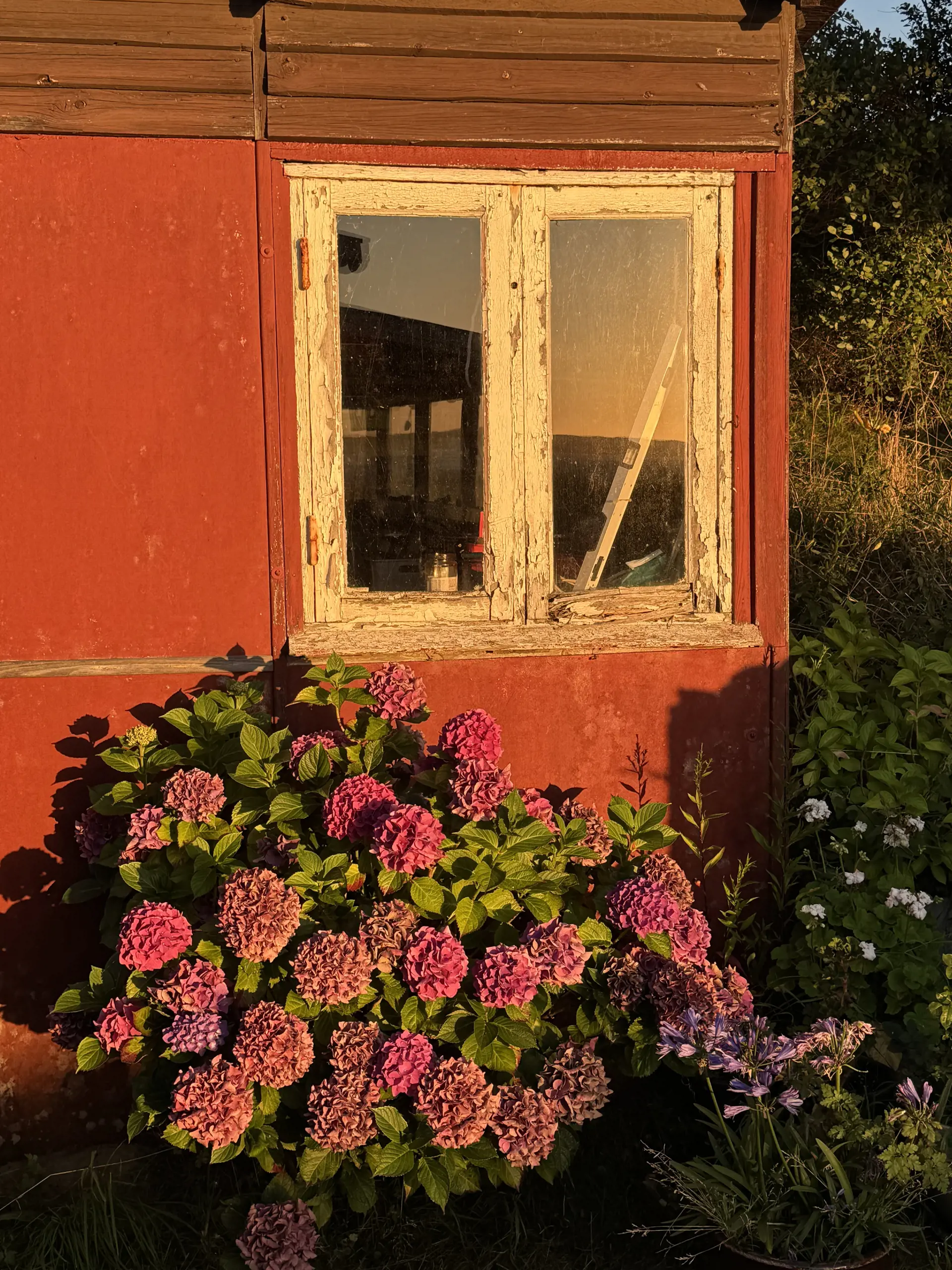 Bild 7 von 12