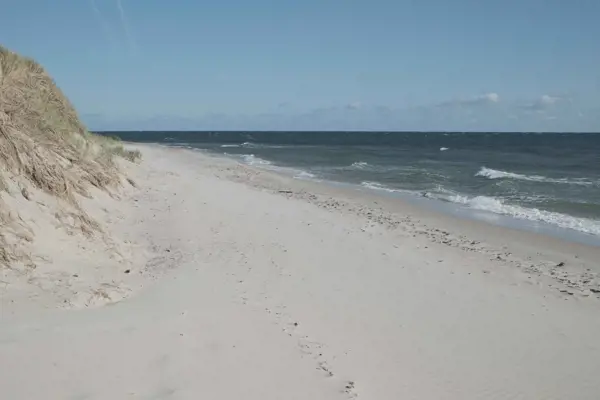 Bild 12 von 14
