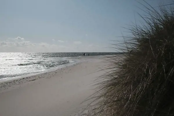 Bild 14 von 14