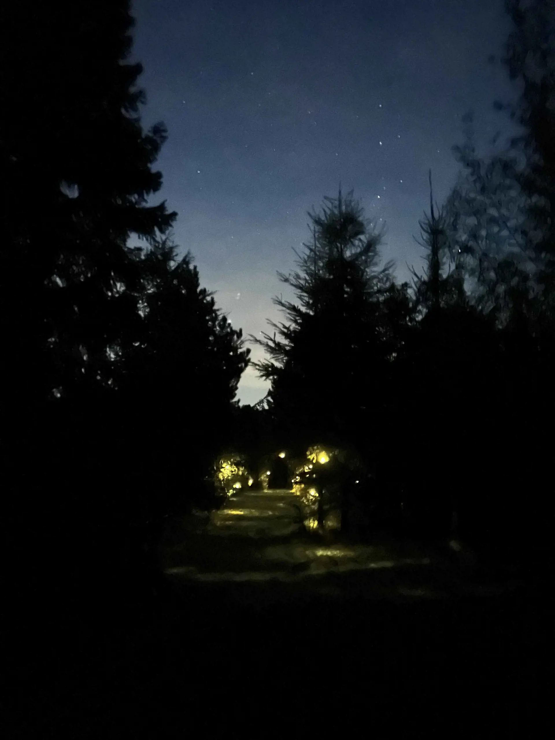 Bild 19 von 20
