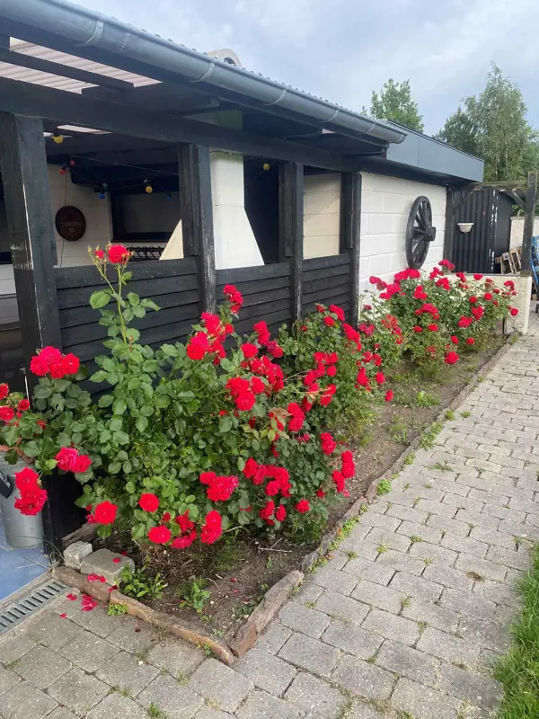 Ferienhaus 245010 in Isefjord / Odsherred