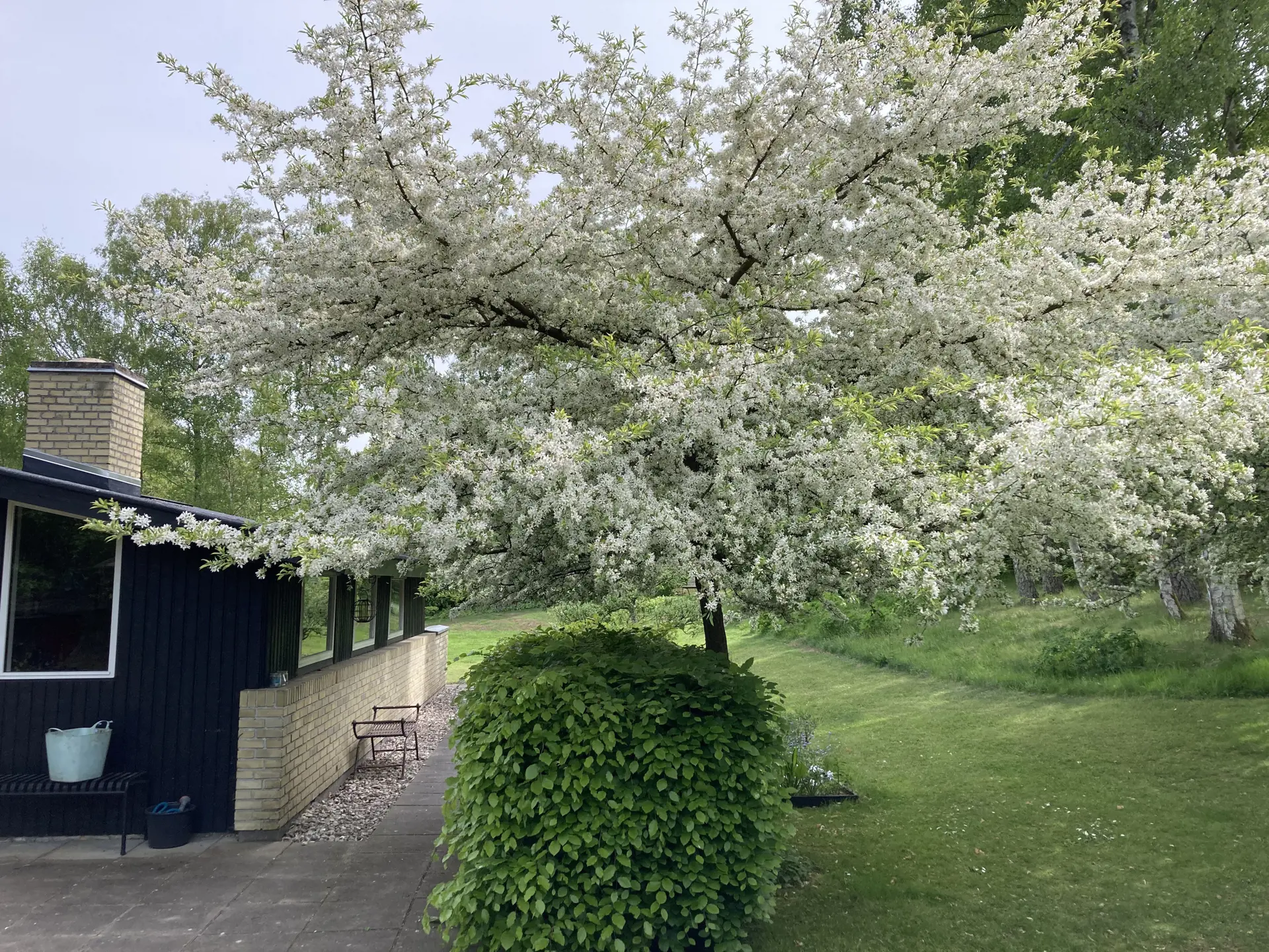 Bild 38 von 44