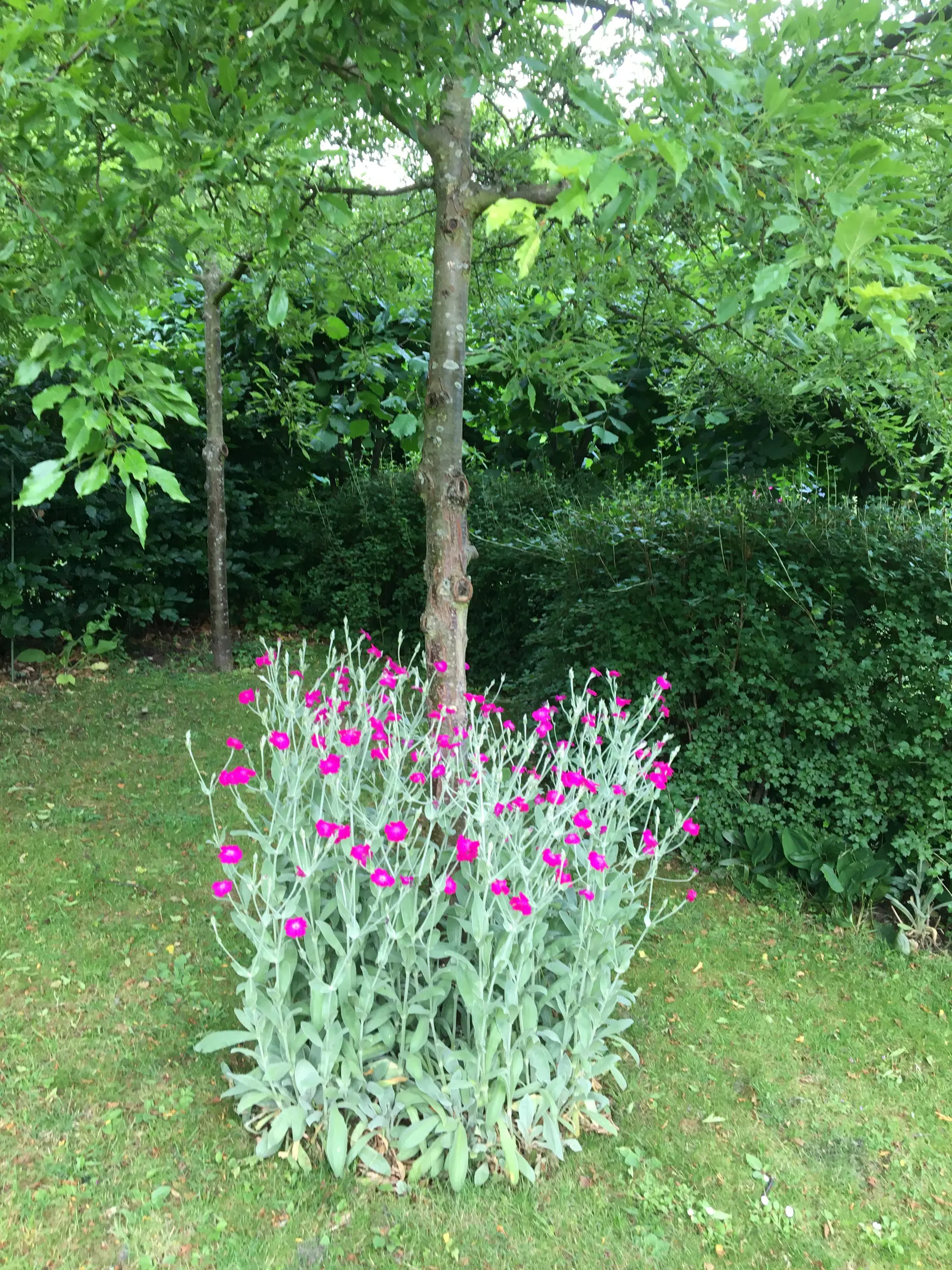 Bild 41 von 44