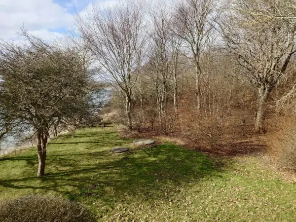 Bild 31 von 31