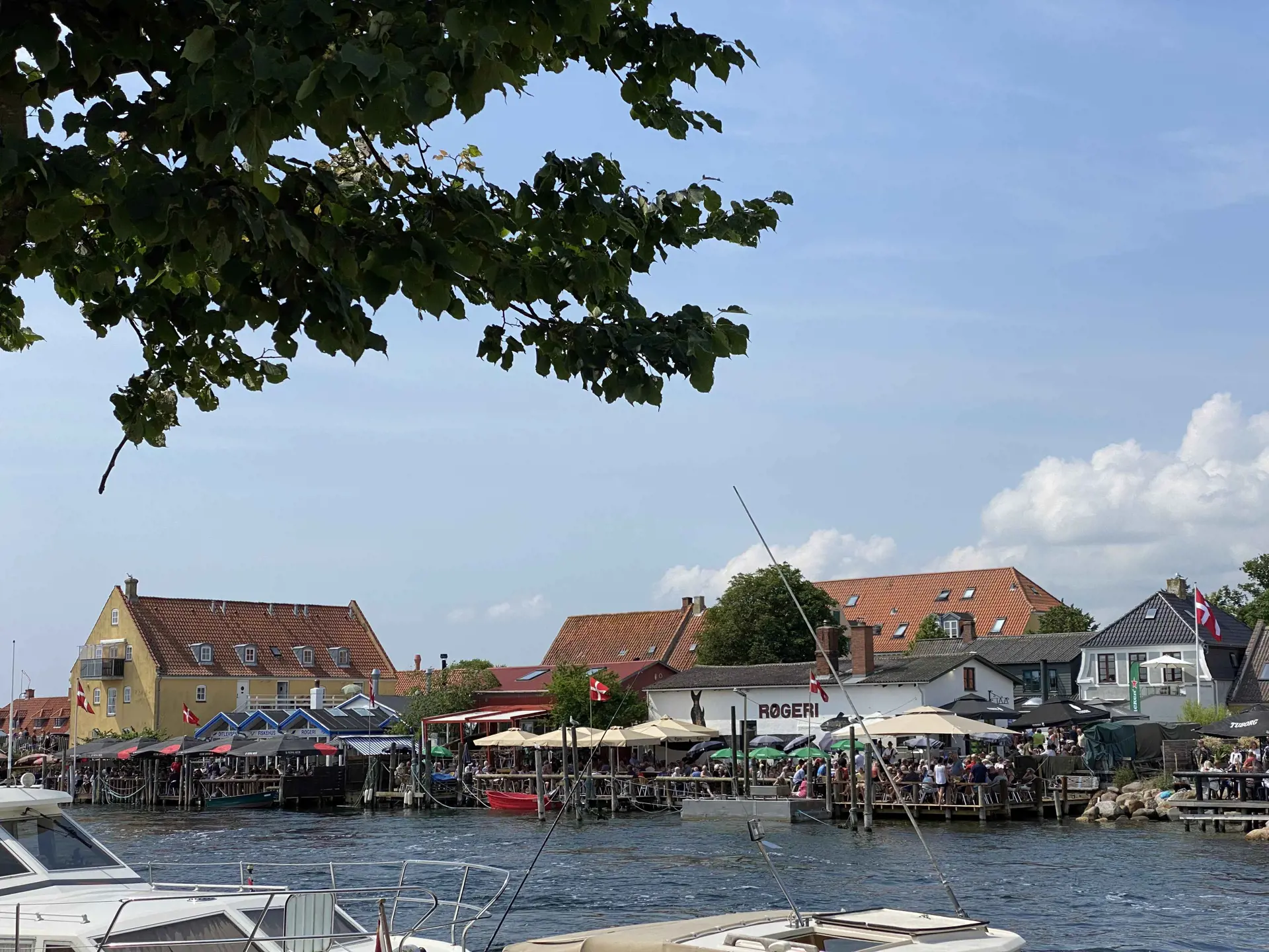 Bild 52 von 83