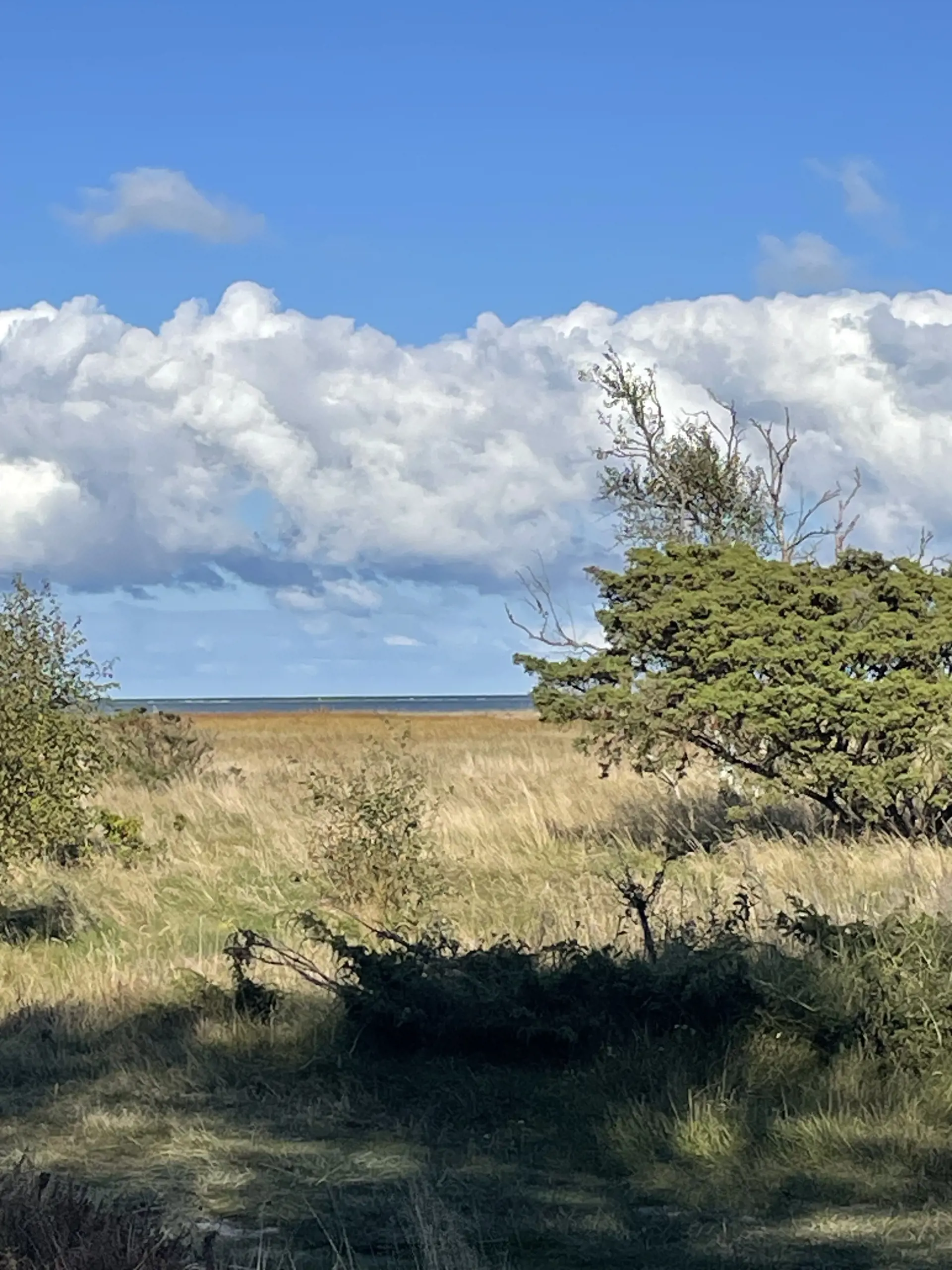 Bild 28 von 34