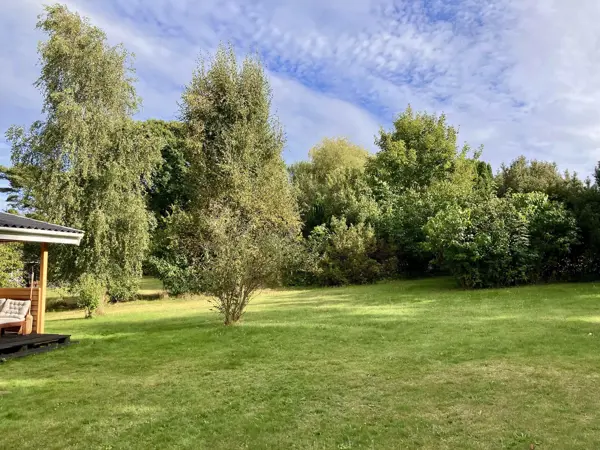 Bild 29 von 50