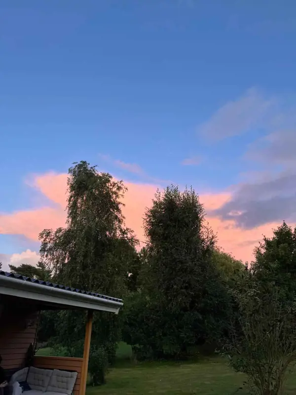 Bild 41 von 50