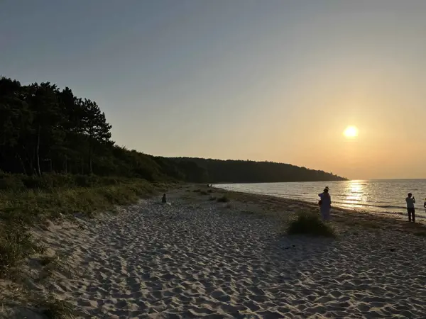 Bild 47 von 50