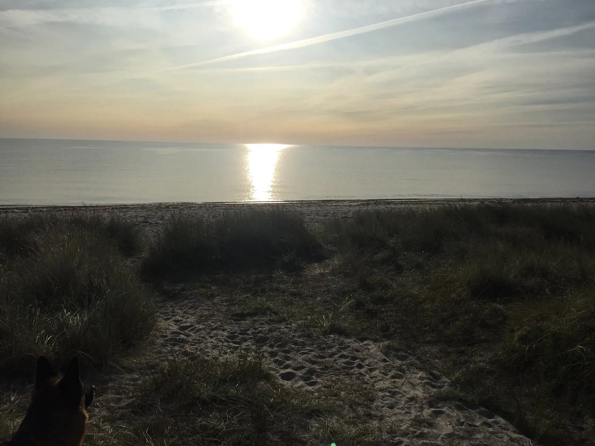Bild 38 von 38