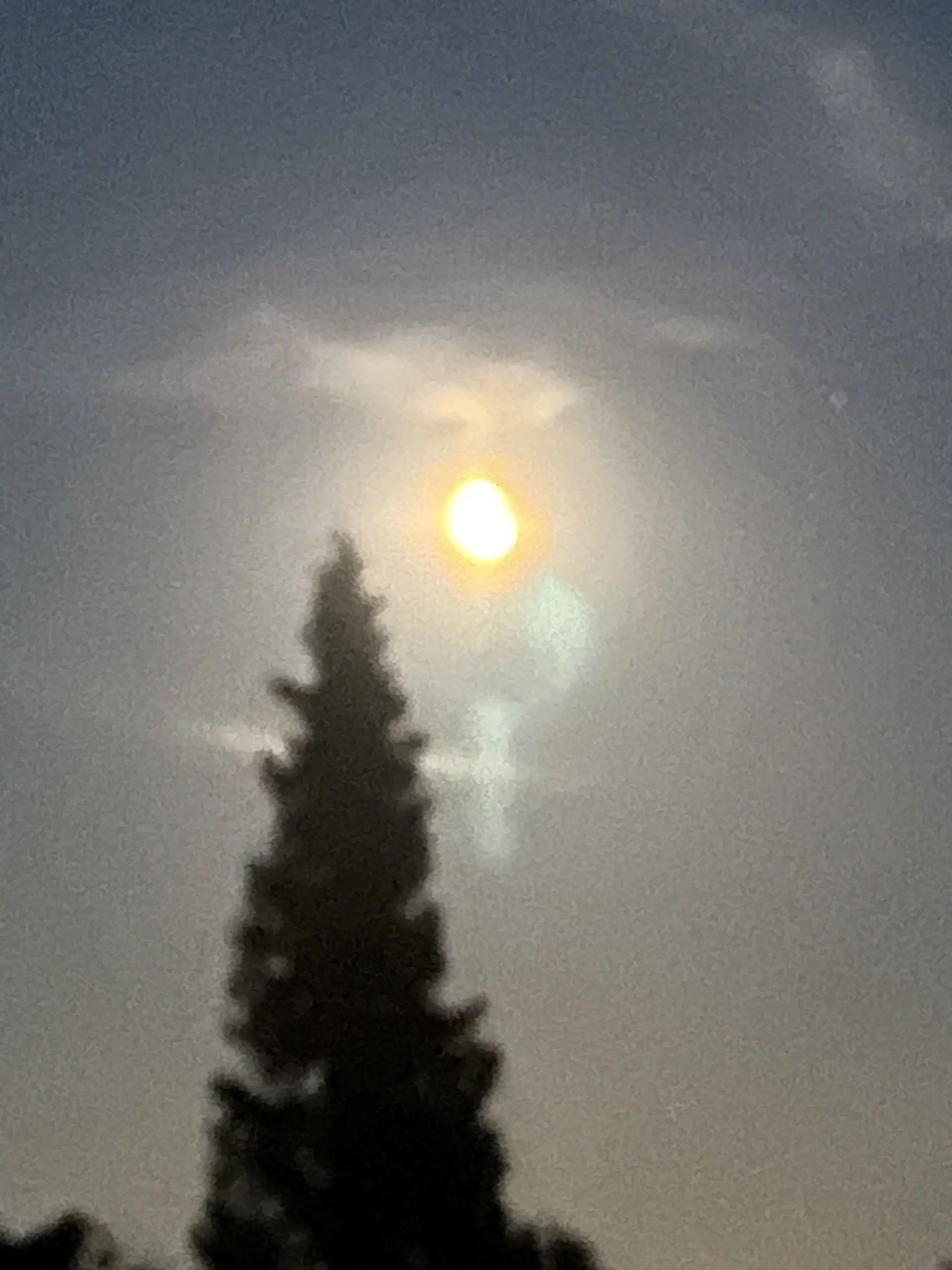 Bild 22 von 23