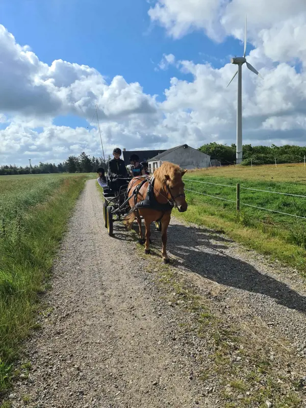 Bild 14 von 19