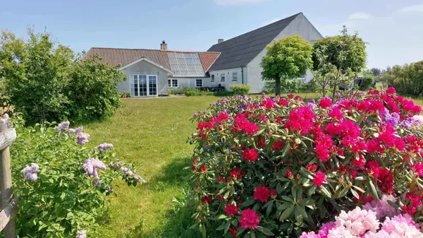 Bild 19 von 19