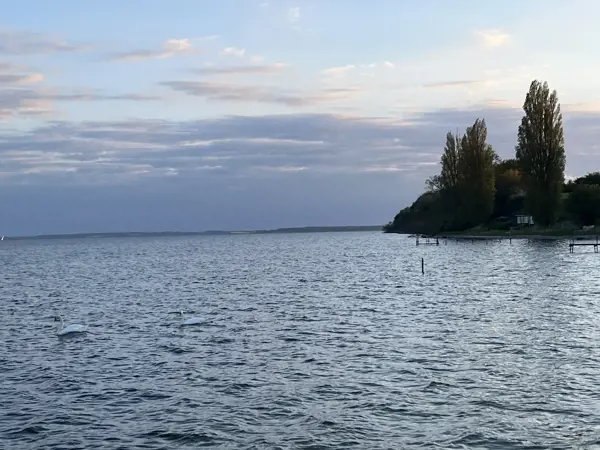 Bild 19 von 22