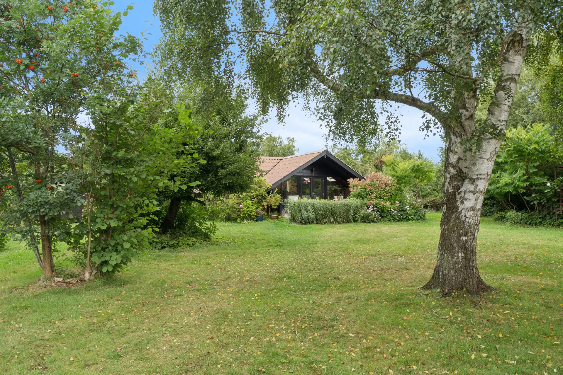 Bild 19 von 26