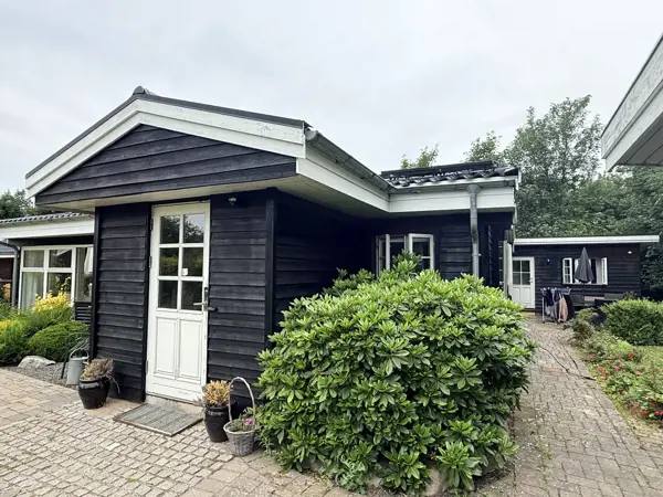 Bild 49 von 50