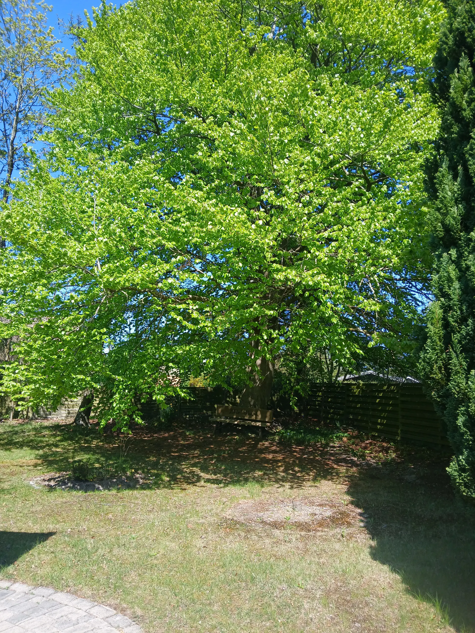 Bild 33 von 34