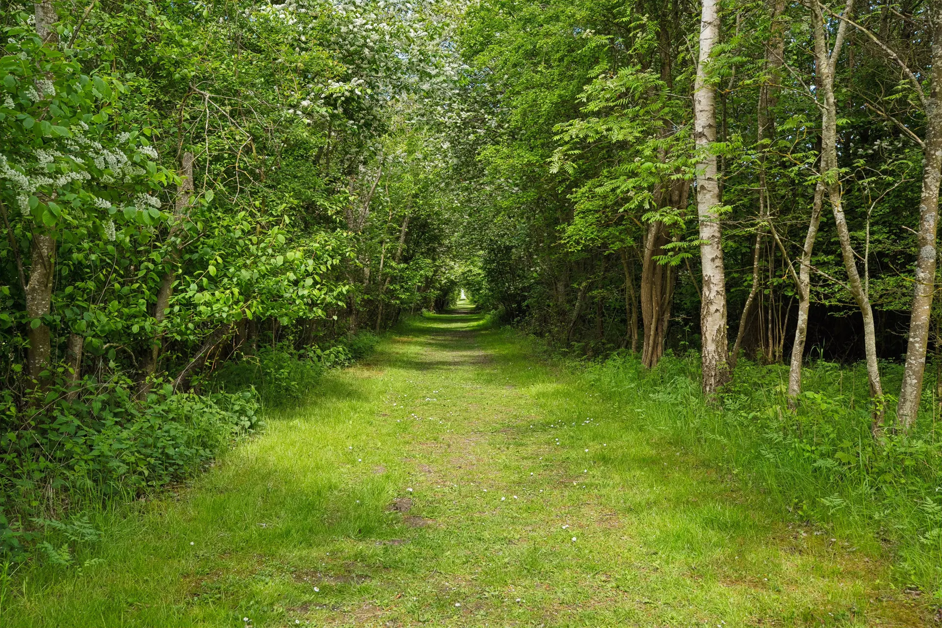 Bild 33 von 38
