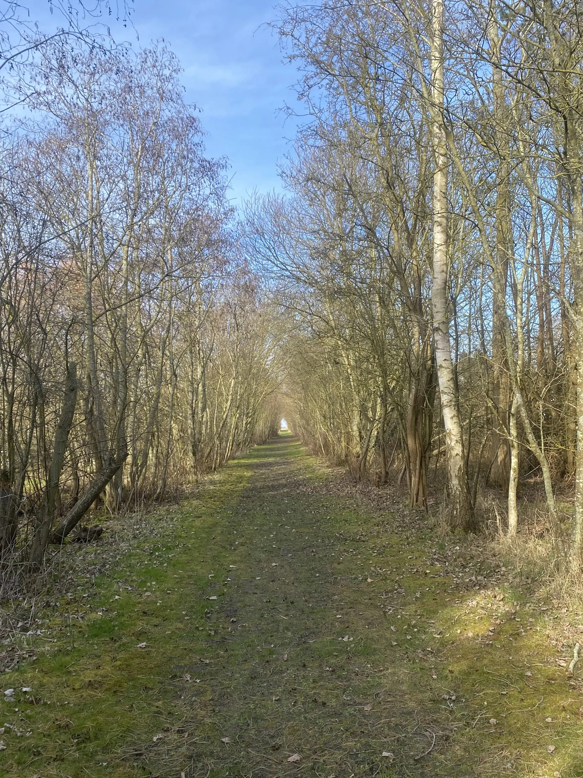 Bild 34 von 38