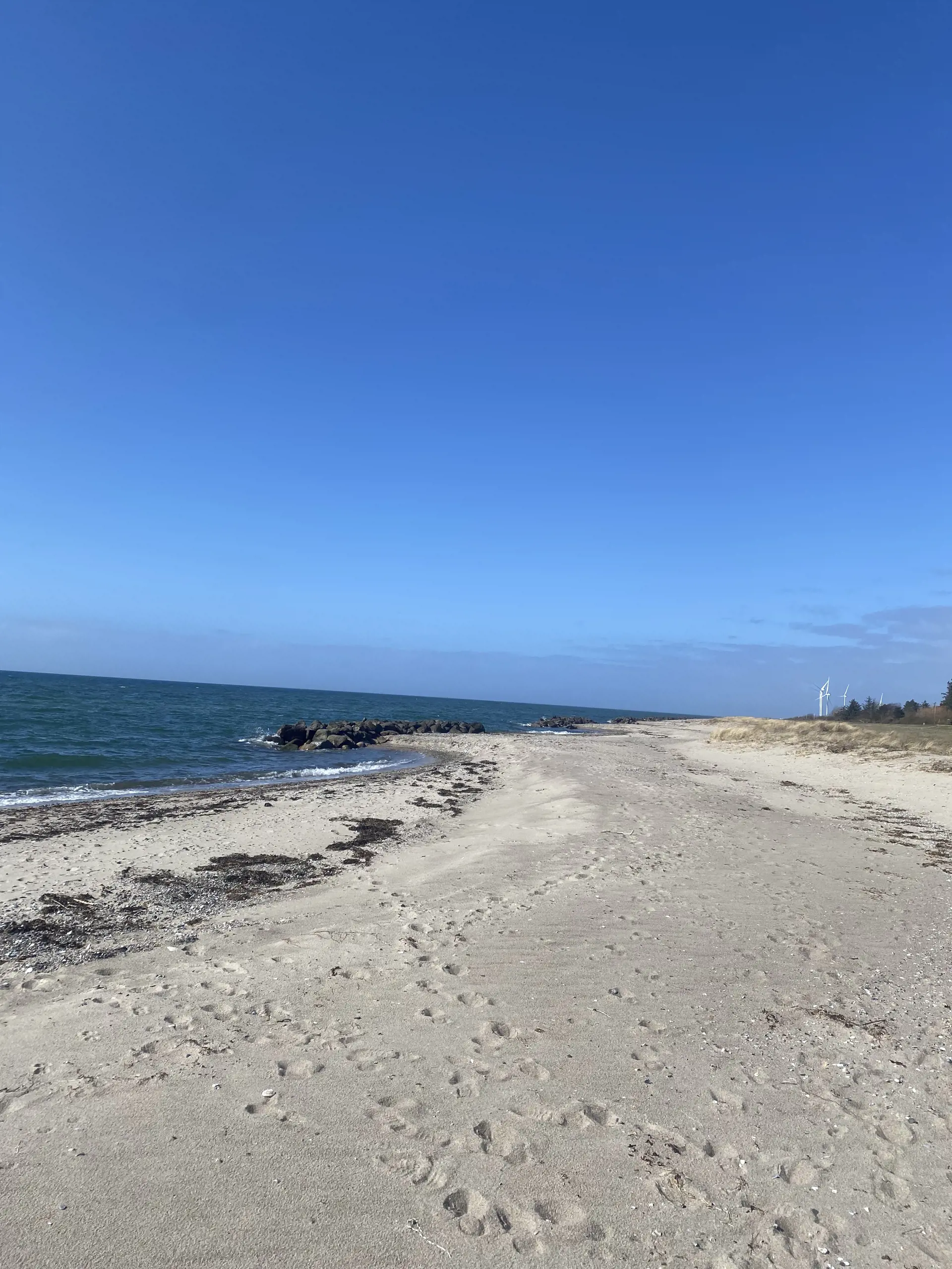 Bild 35 von 38