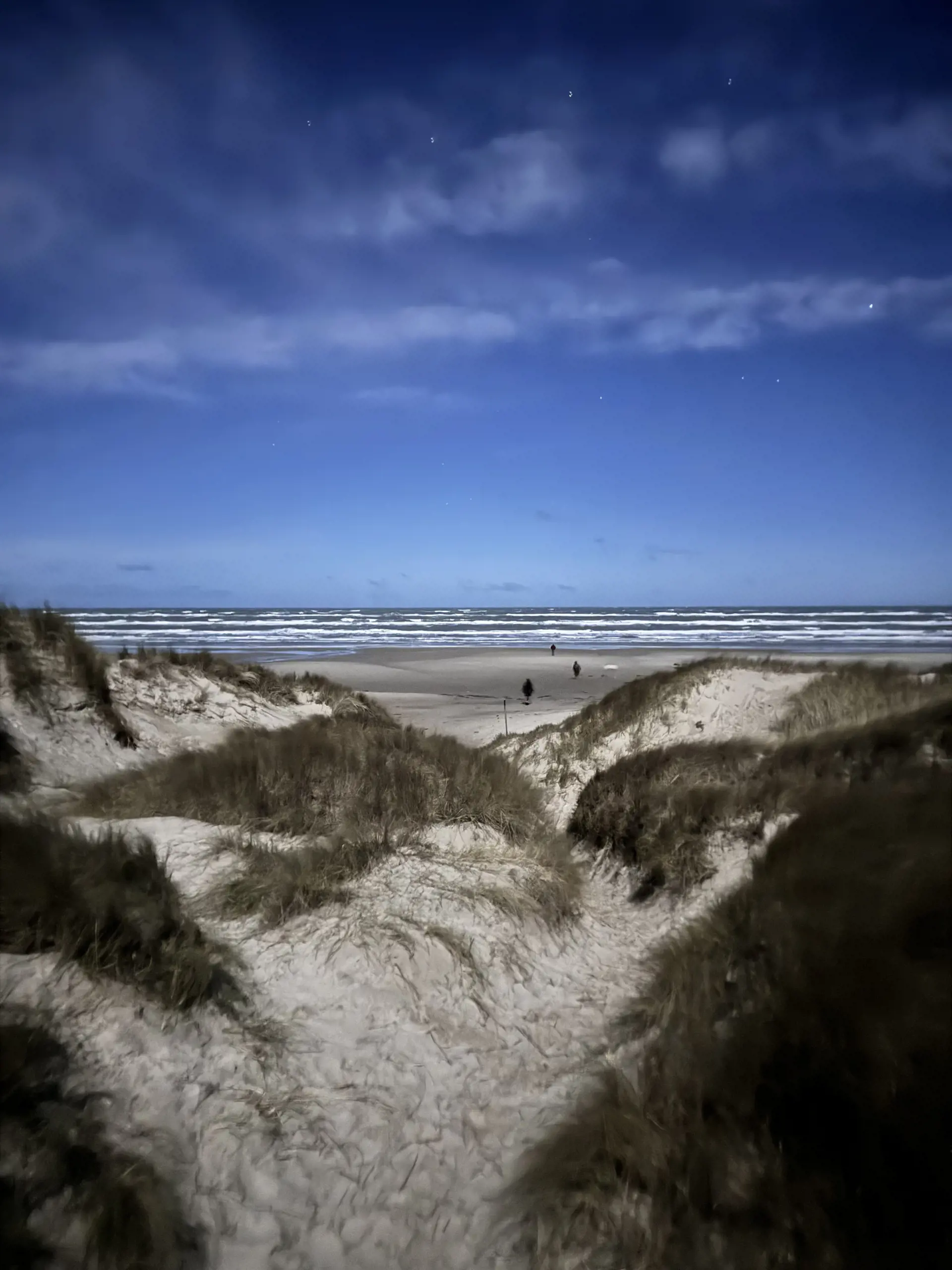 Bild 38 von 55