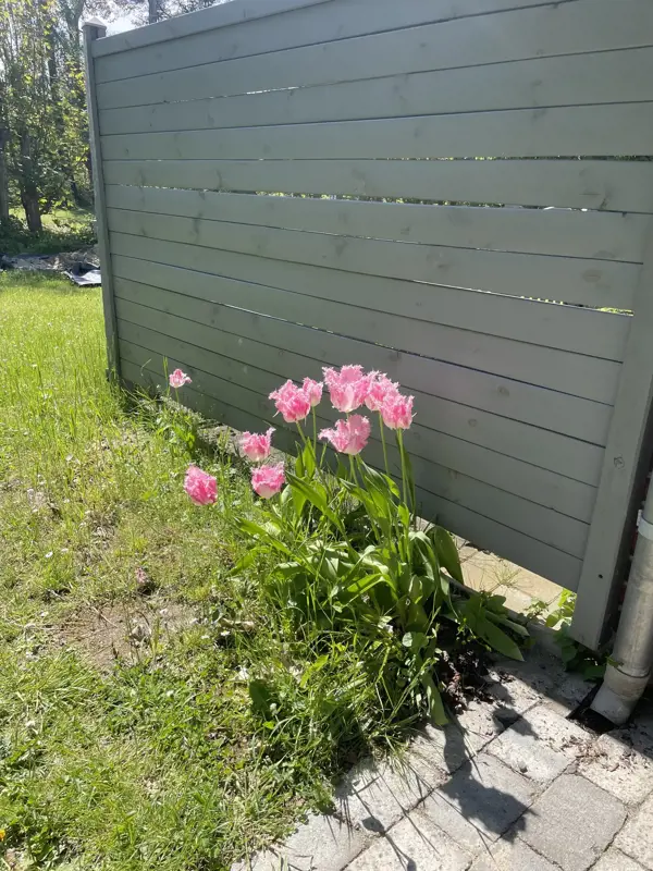Bild 35 von 37