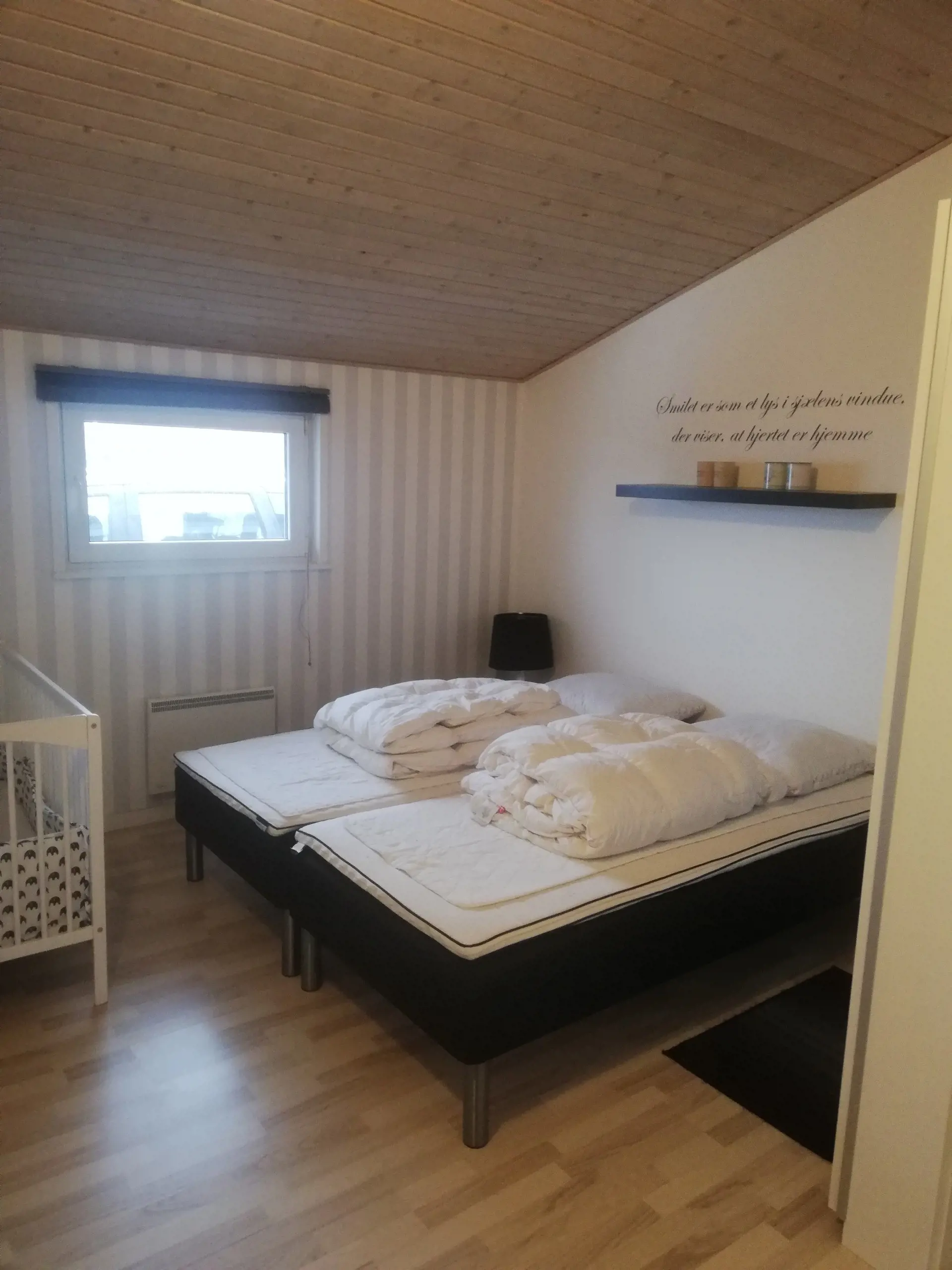 Bild 8 von 18