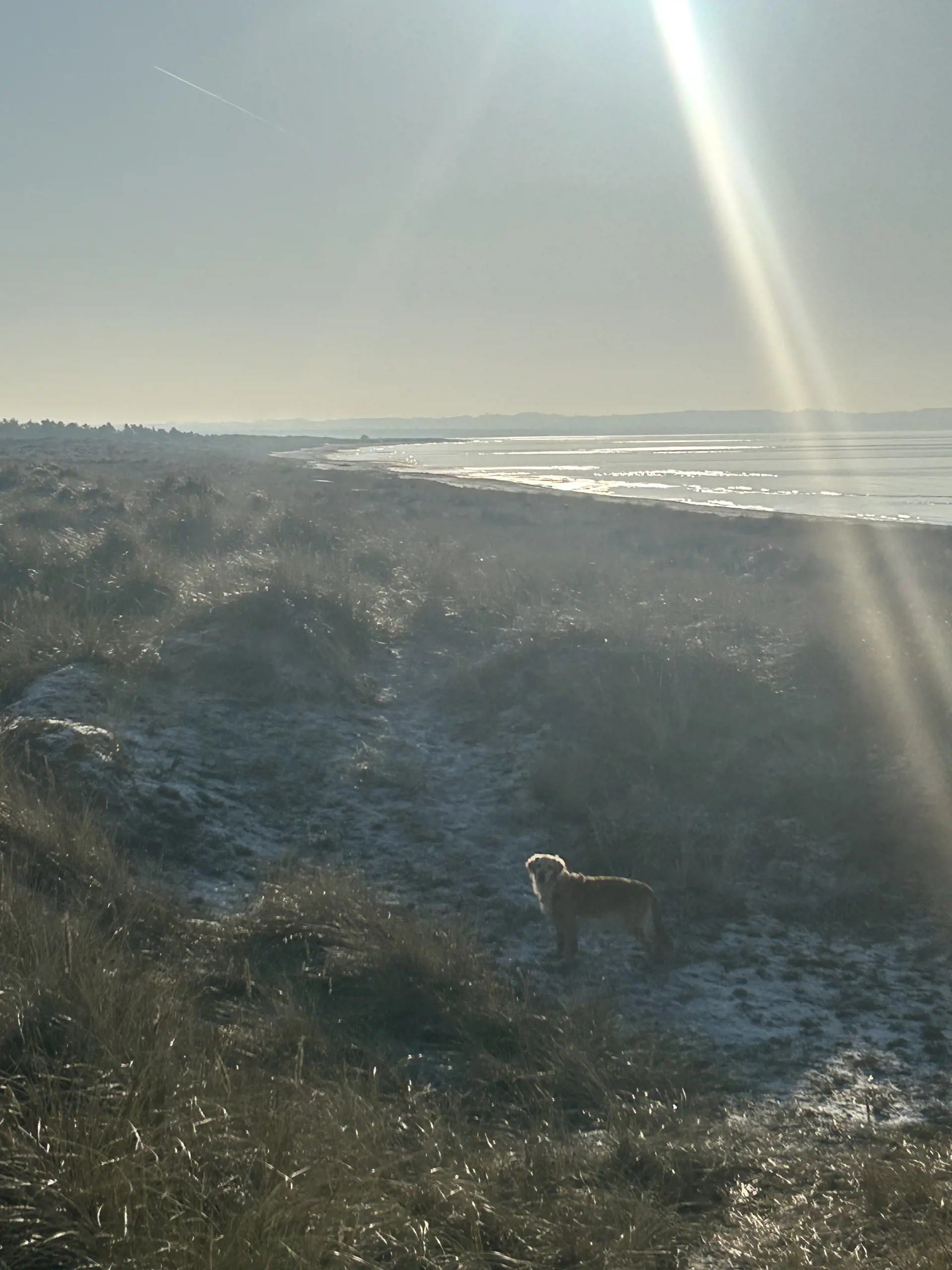 Bild 31 von 32