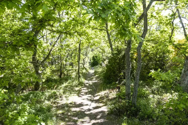 Ferienhaus 268116 in Fjellerup / Djursland Bild: 2