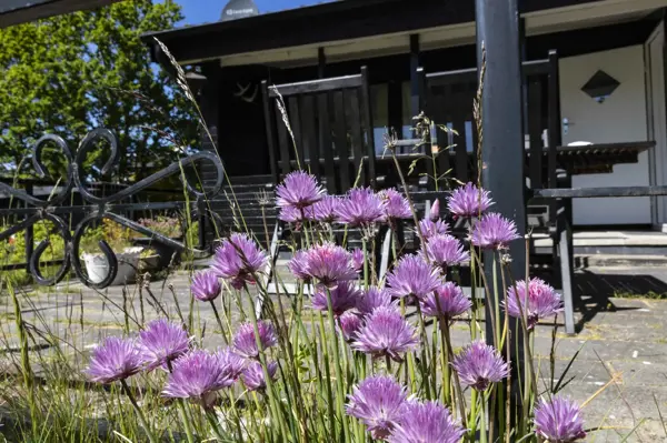 Ferienhaus 268116 in Fjellerup / Djursland Bild: 4