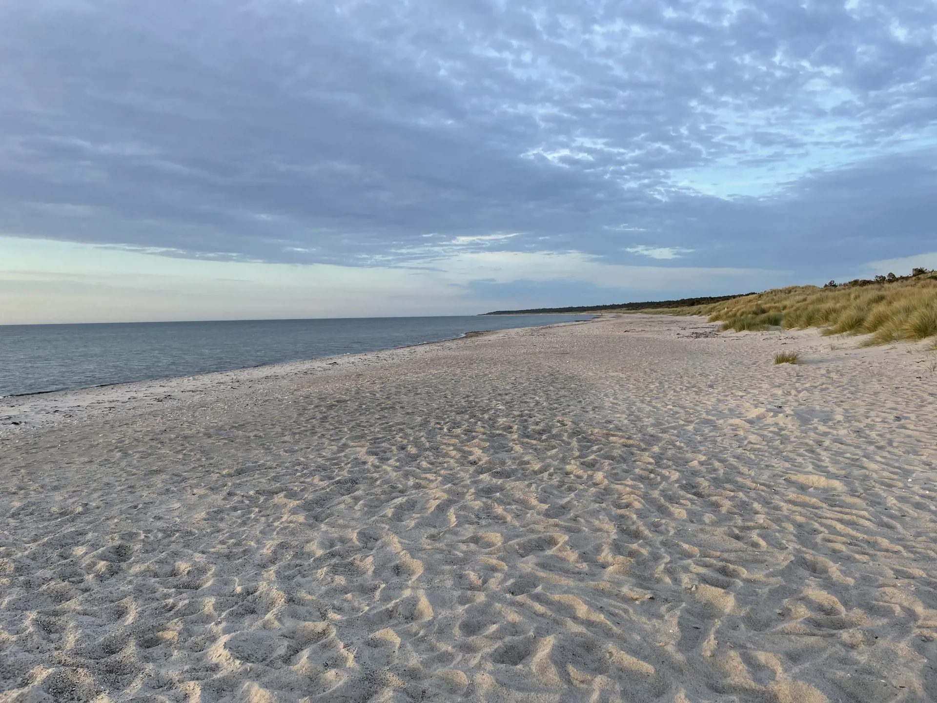 Bild 34 von 36