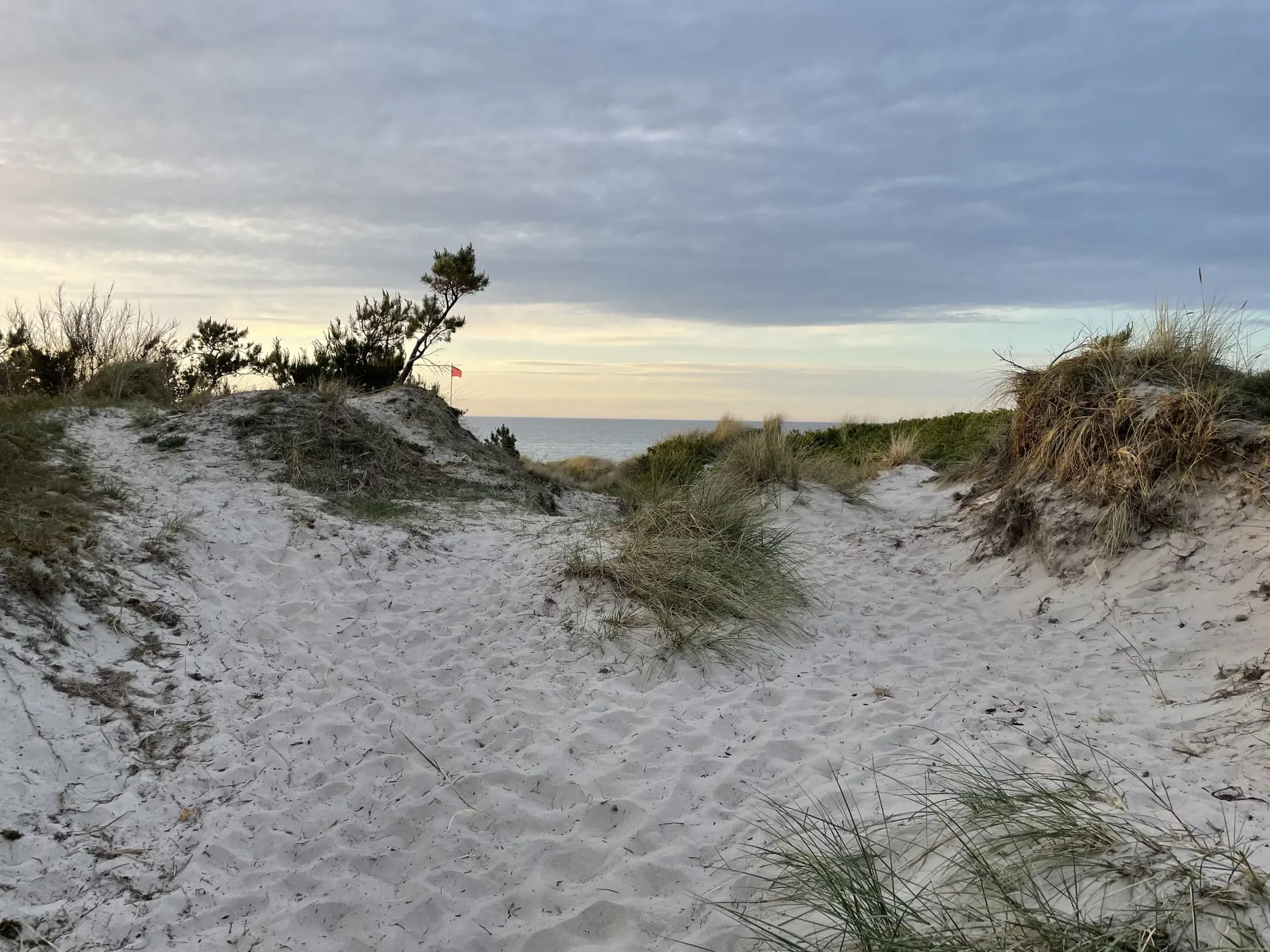 Bild 35 von 36