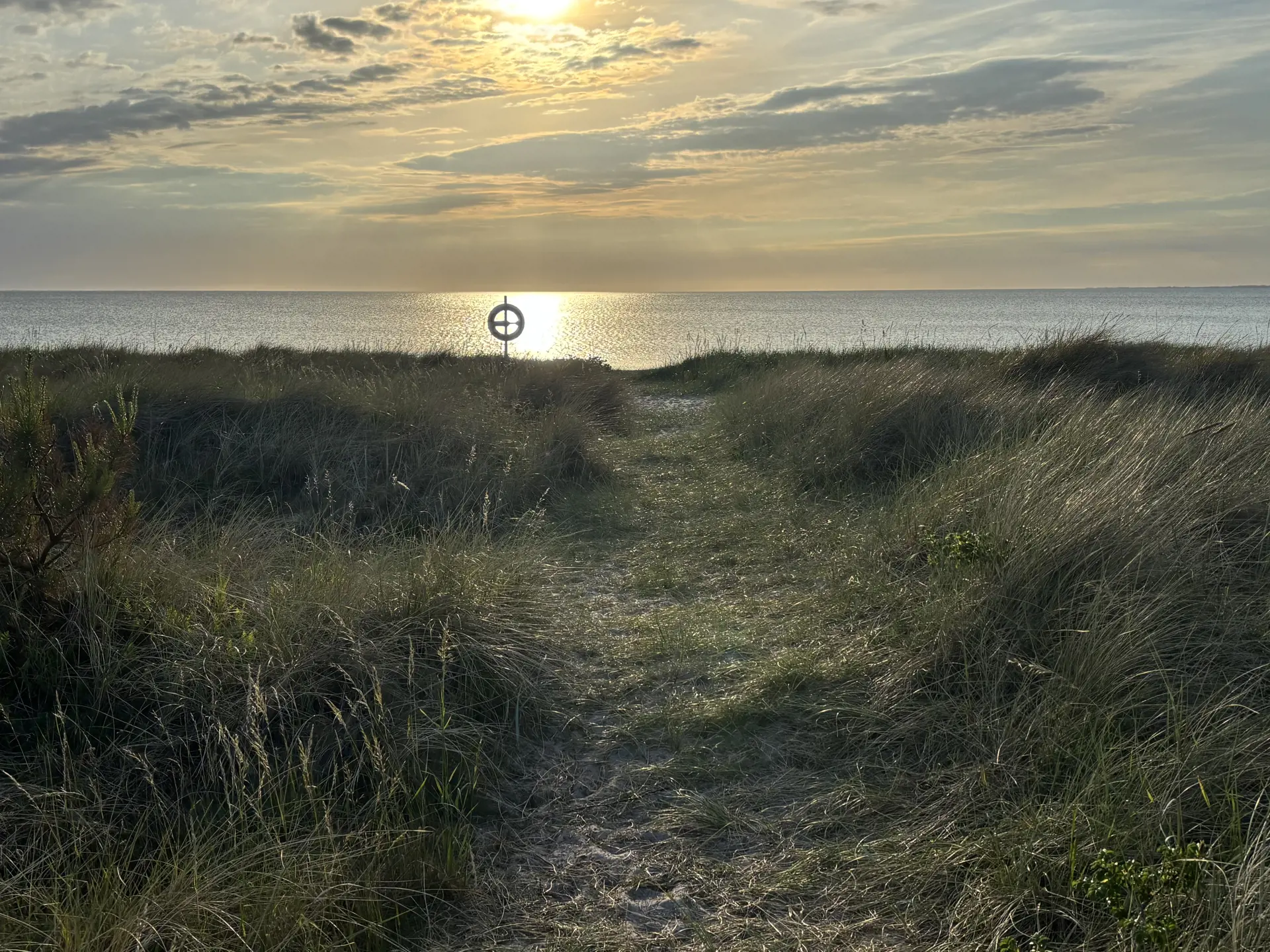 Bild 27 von 29