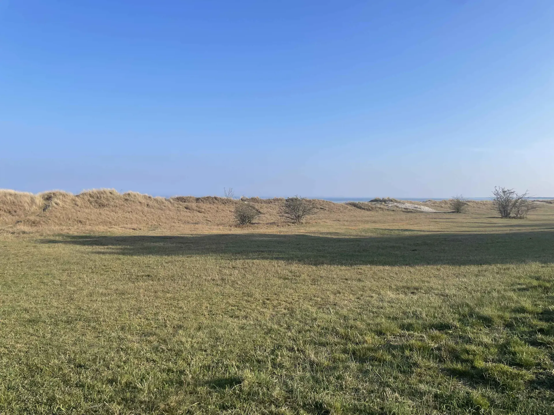 Bild 31 von 34