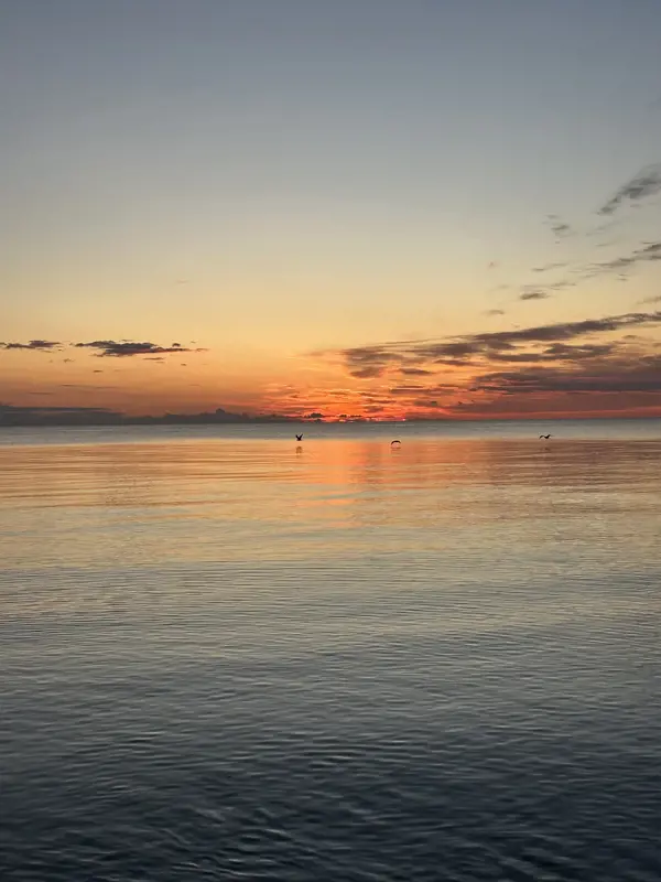Bild 4 von 28