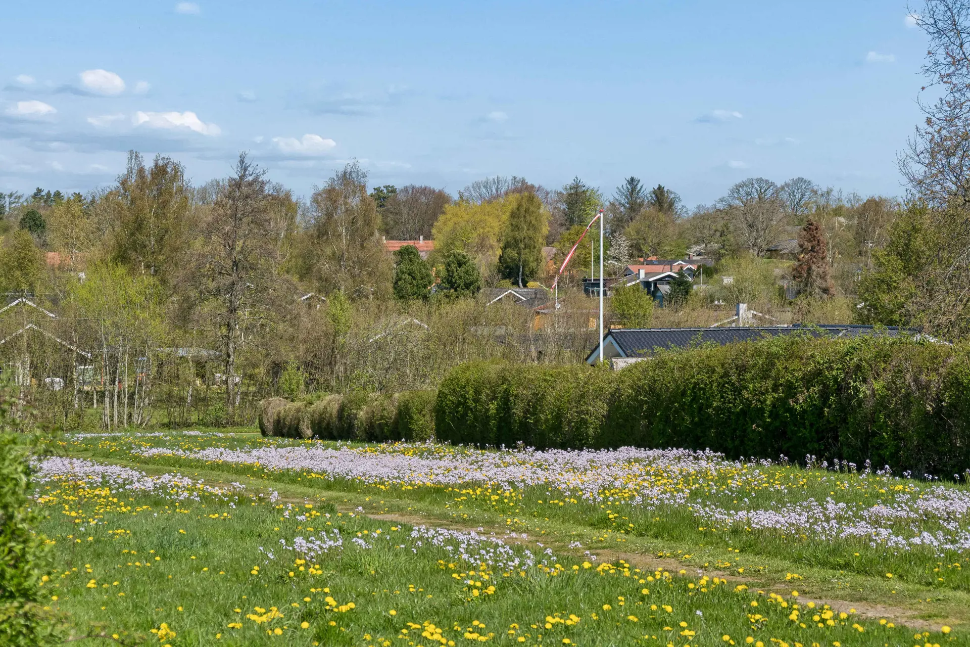 Bild 12 von 15