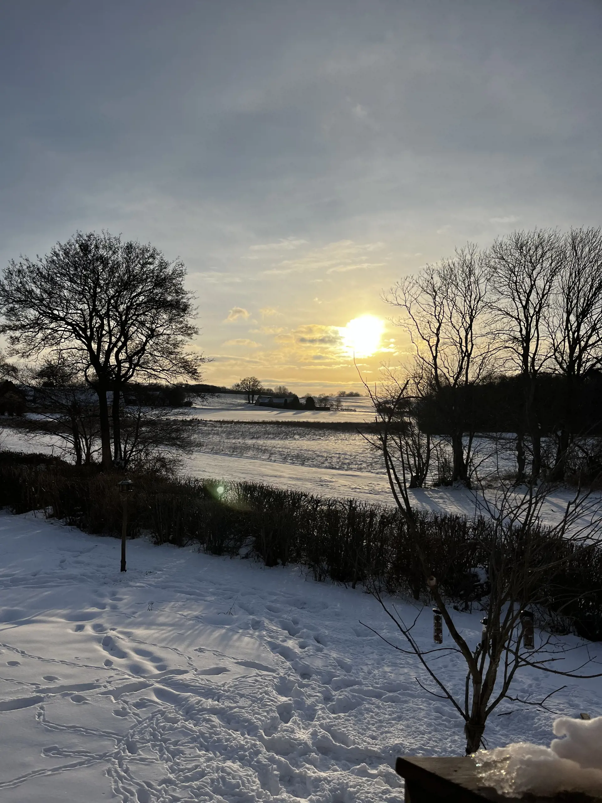 Bild 30 von 33