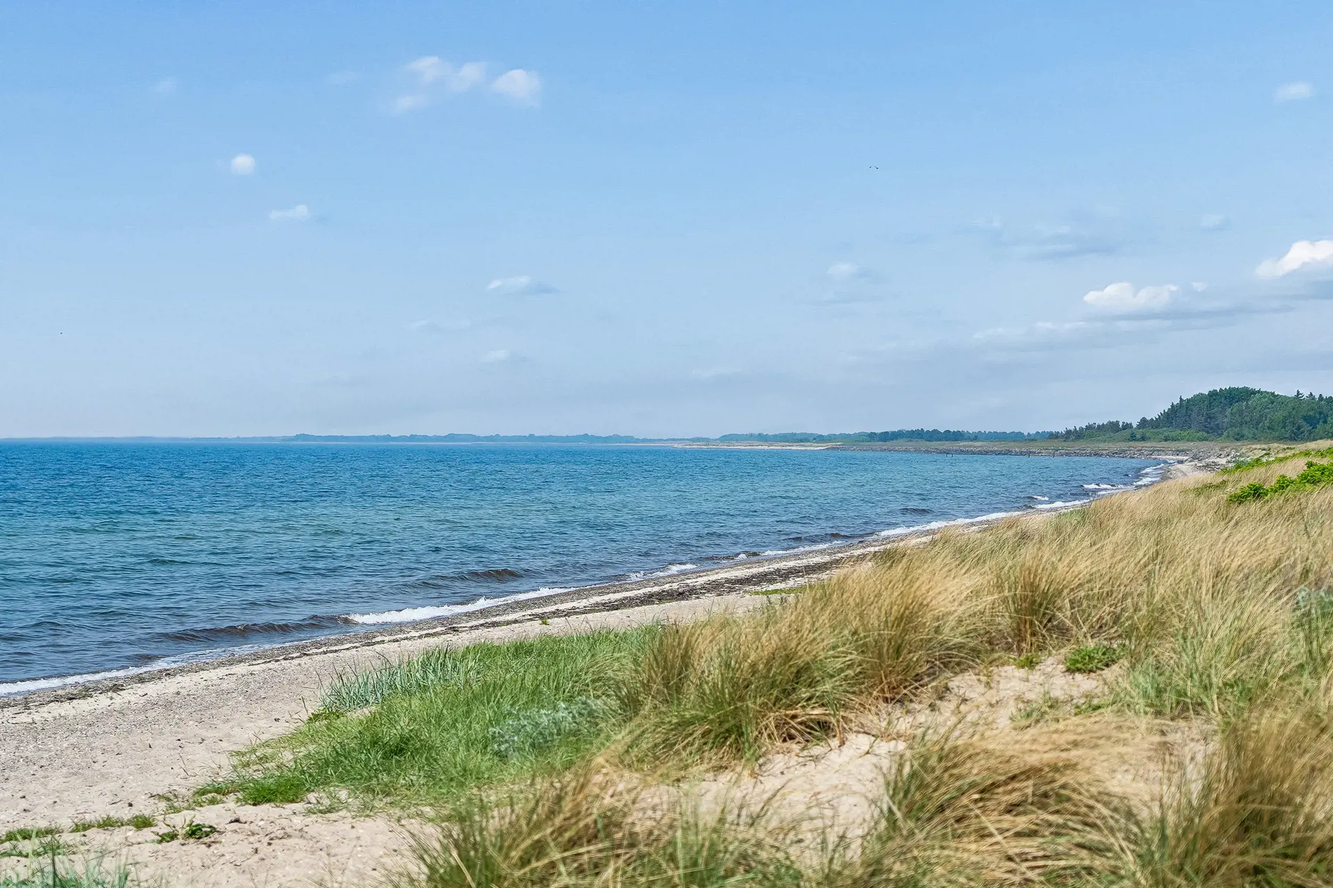 Bild 35 von 36