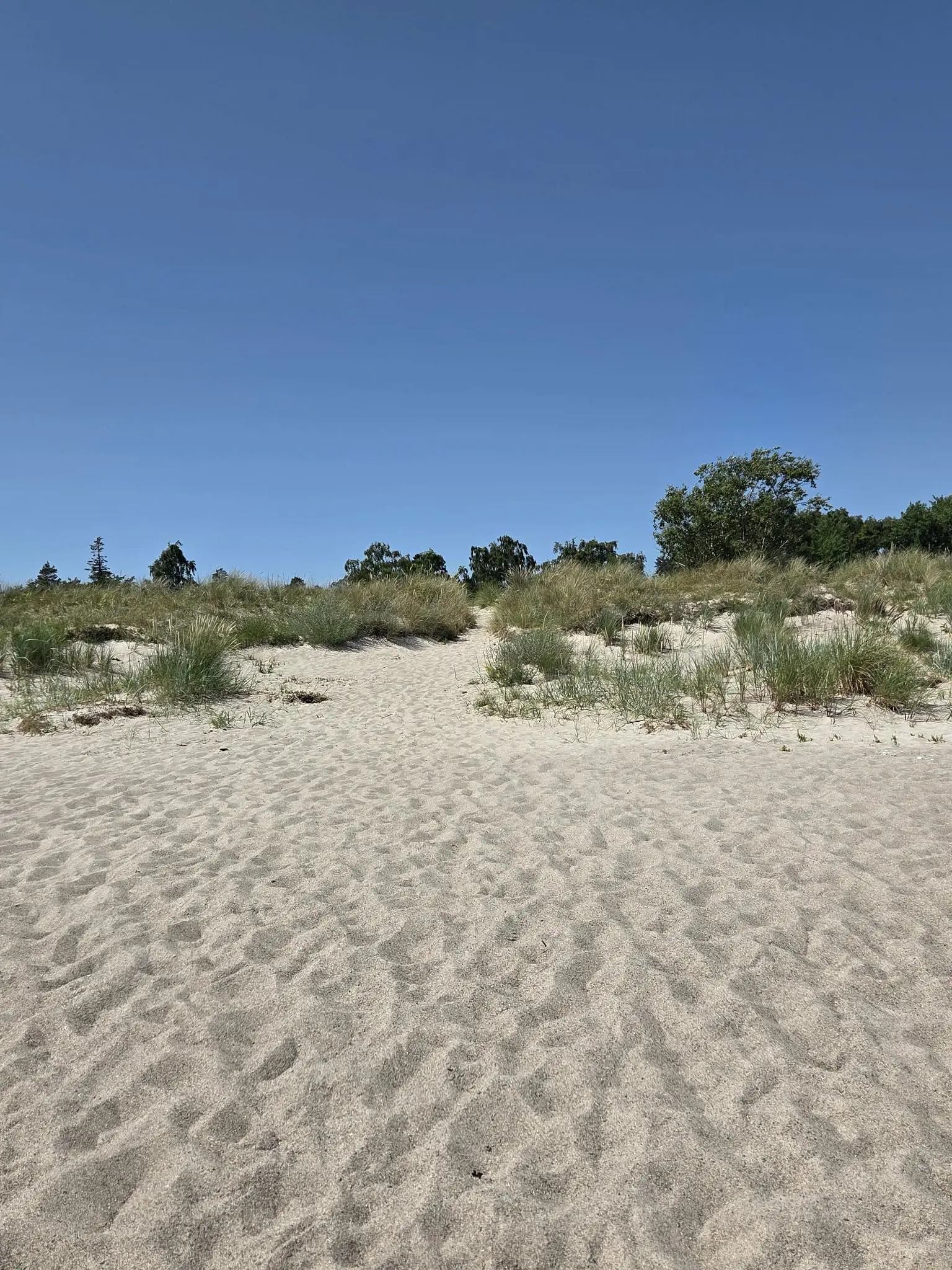 Bild 37 von 40