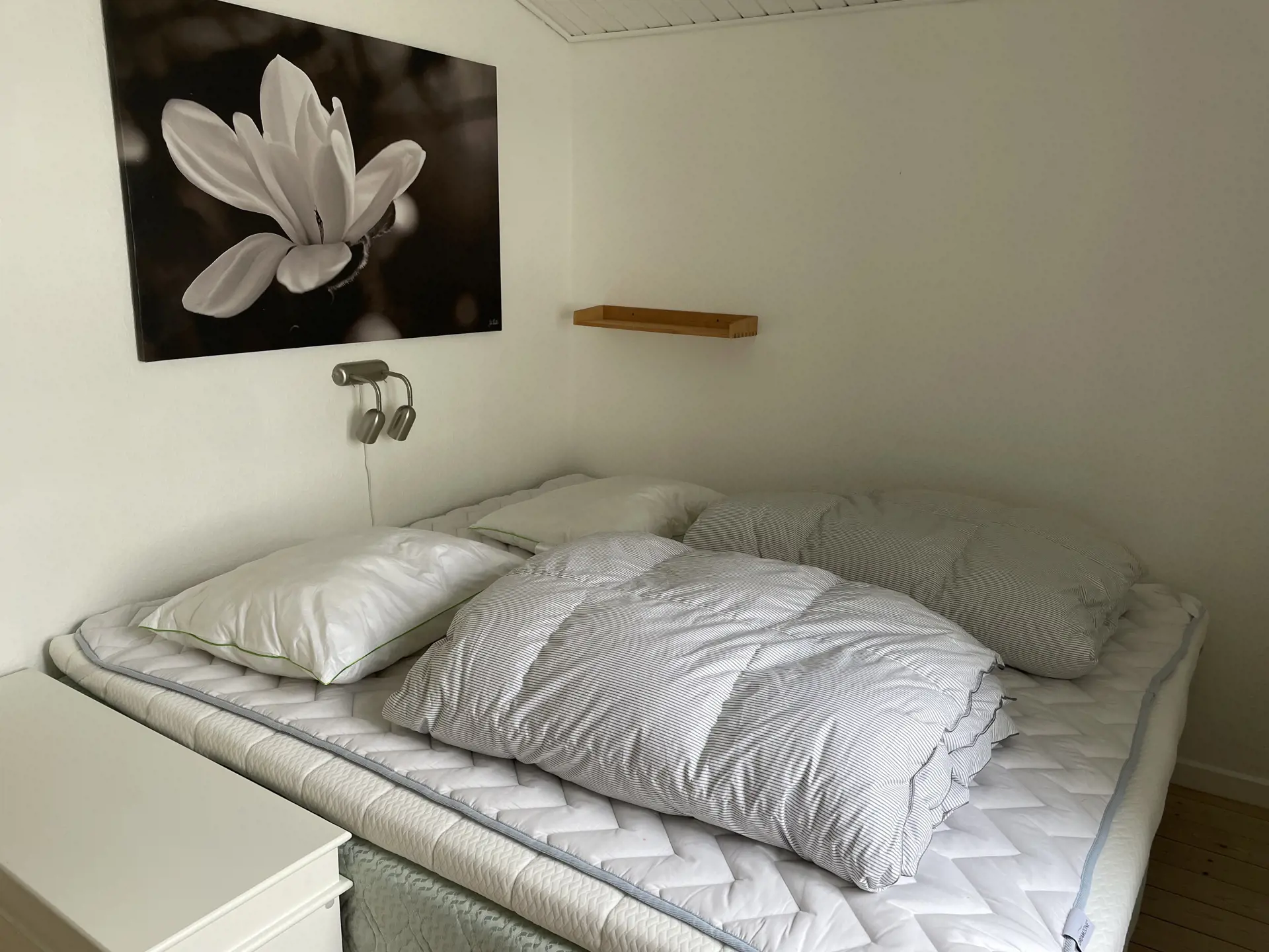 Bild 15 von 37