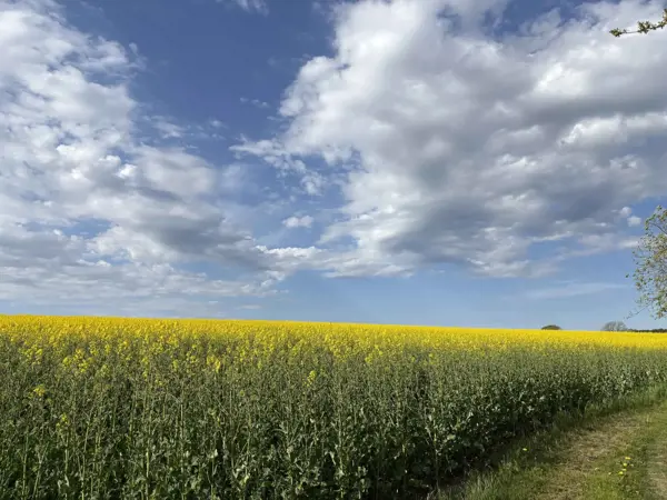 Bild 21 von 26