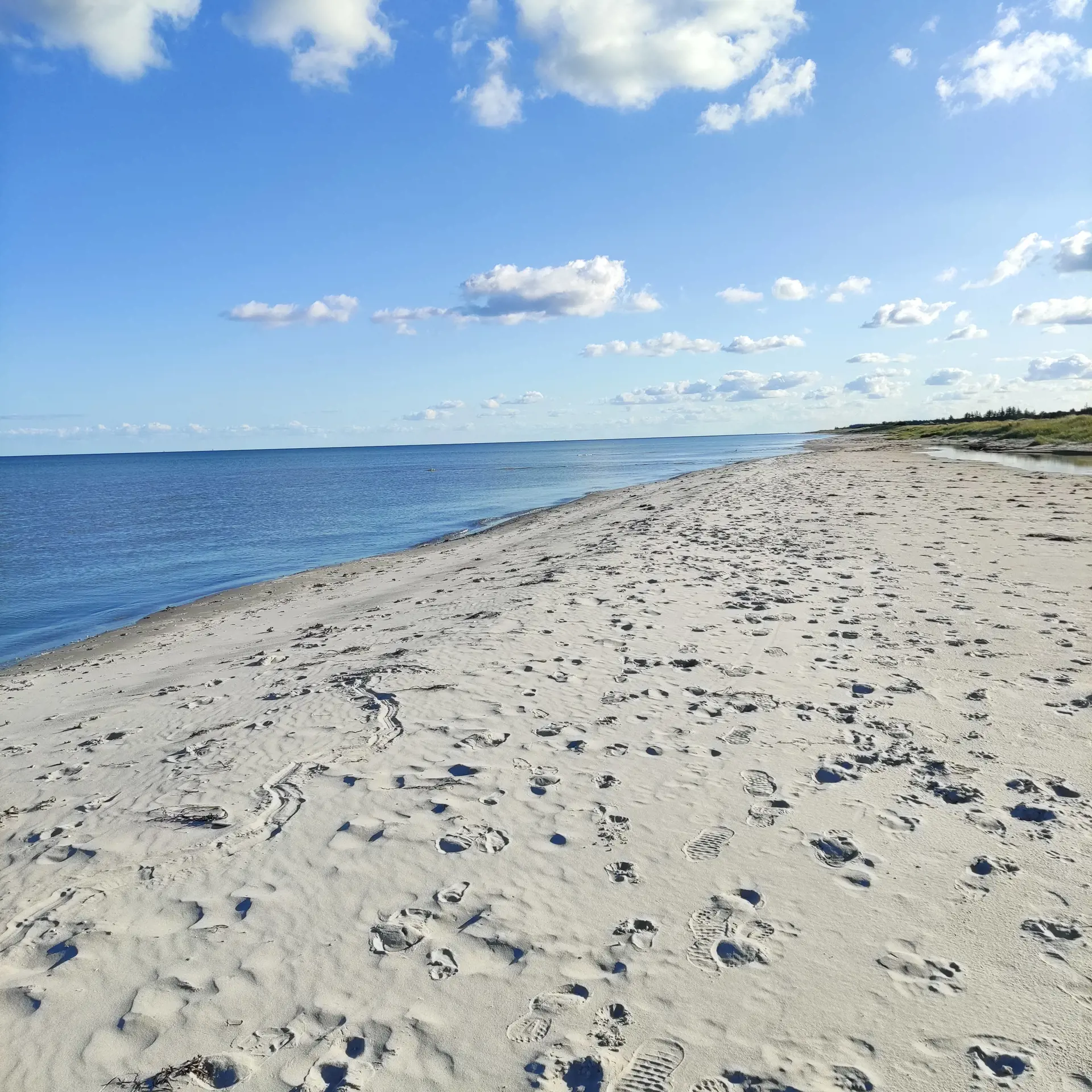 Bild 26 von 27