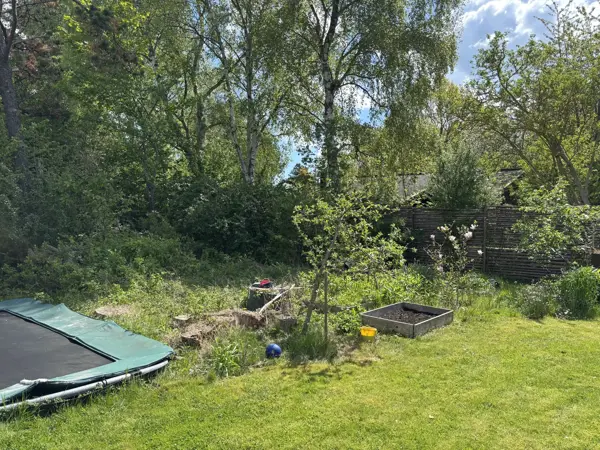 Bild 17 von 17