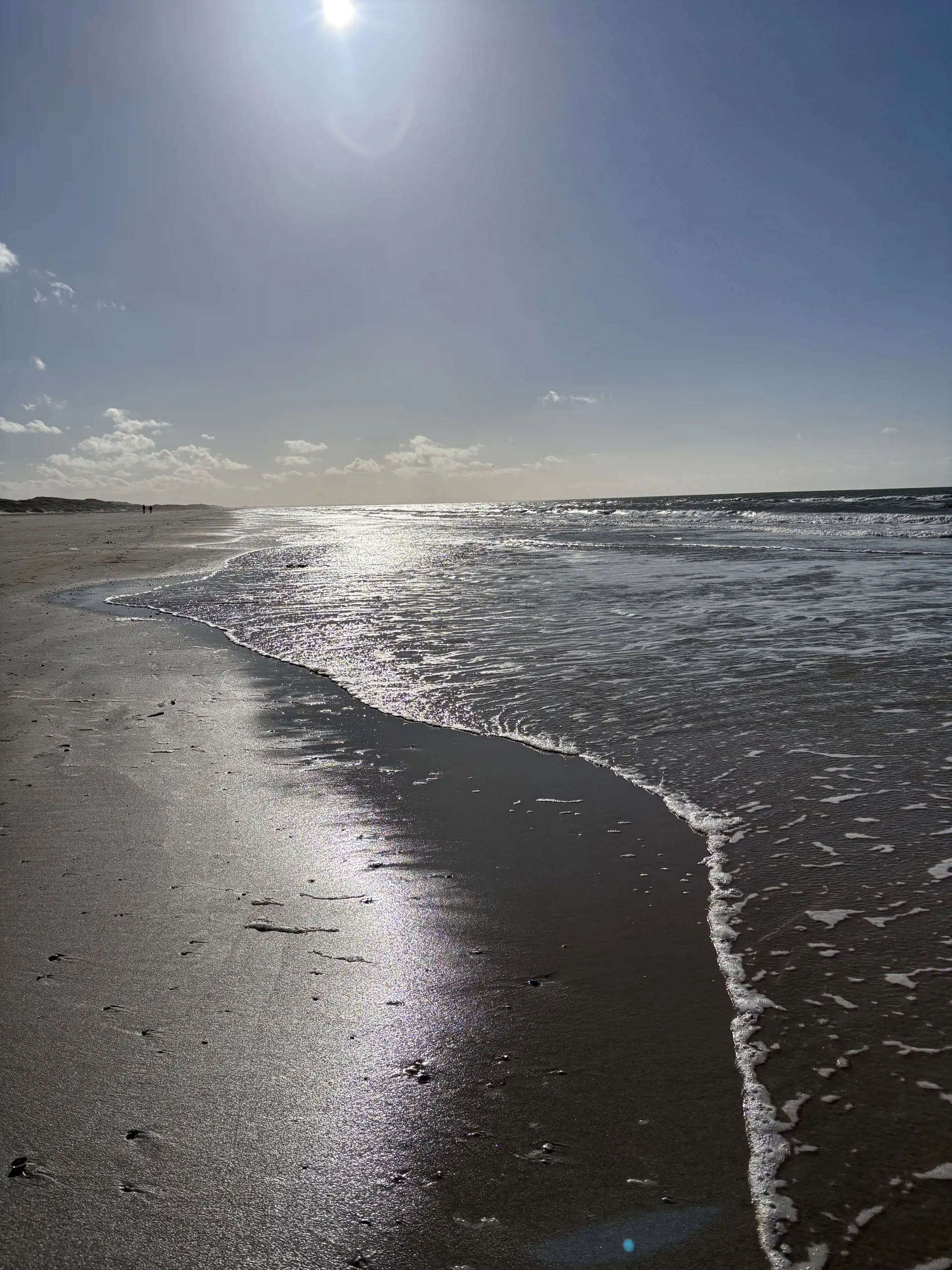 Bild 18 von 18