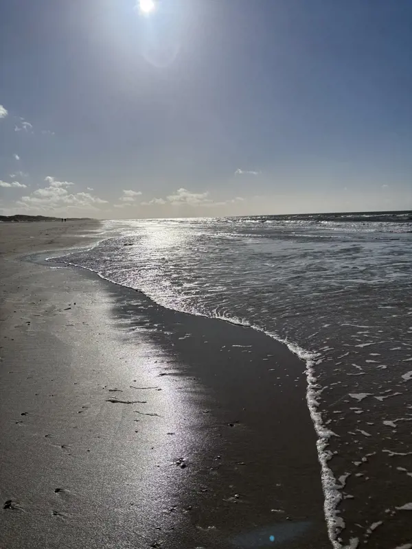 Bild 28 von 29