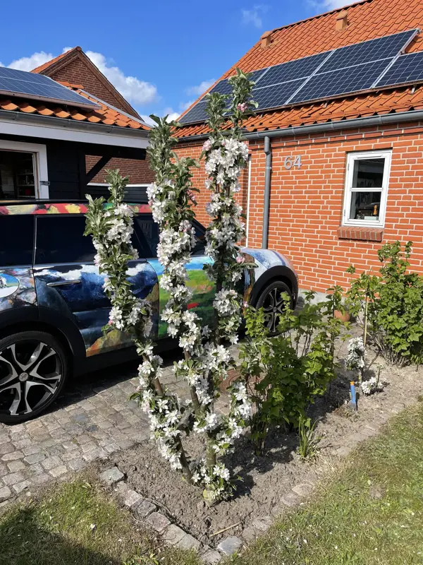 Bild 12 von 18
