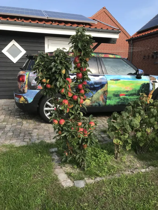 Bild 14 von 18
