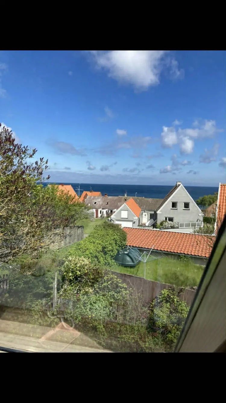 Bild 2 von 19