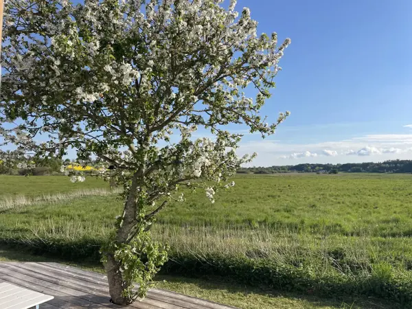 Bild 12 von 38