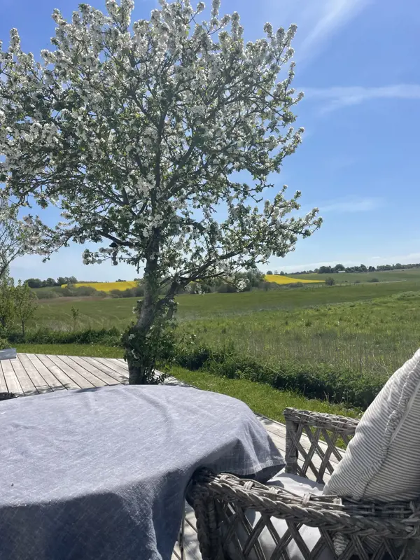 Bild 38 von 38